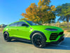 Lamborghini Urus (Зеленый), 2021 для аренды в Дубай 0