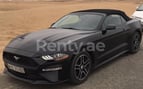 Ford Mustang Convertible (Black), 2018 for rent in Dubai
