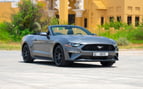 Ford Mustang cabrio (Dunkelgrau), 2023  zur Miete in Dubai