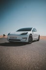 Tesla Model 3 (White), 2020 for rent in Dubai 0