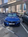 在迪拜 租 BMW 318 (蓝色), 2019 5