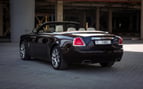 Rolls Royce Dawn (Marron Oscuro), 2018 para alquiler en Dubai 1