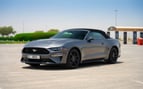 Ford Mustang cabrio (Dark Grey), 2023 for rent in Dubai