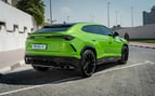 Lamborghini Urus Capsule (Verde), 2021 para alquiler en Dubai 1