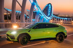 Lamborghini Urus Capsule (Green), 2021 for rent in Dubai 5