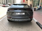 Lamborghini Urus (Grey), 2019 para alquiler en Dubai 3