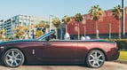 Rolls Royce Dawn (Бардовый), 2017 для аренды в Дубай 0