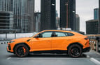 在迪拜 租 Lamborghini Urus Capsule (橙子), 2022 4