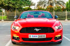 Ford Mustang Convertible (Red), 2018 for rent in Dubai 4