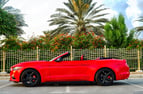 Ford Mustang Convertible (Rot), 2018  zur Miete in Dubai 1
