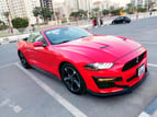 Ford Mustang (Красный), 2021 для аренды в Дубай 0