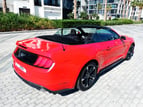 Ford Mustang (rojo), 2021 para alquiler en Dubai 3