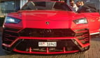 Lamborghini Urus (Red), 2019 for rent in Abu-Dhabi 0