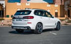 BMW X5 (Blanco), 2023 para alquiler en Dubai 2