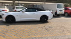 在迪拜 租 Chevrolet Camaro (白色), 2019 2