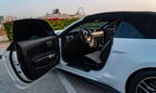 Ford Mustang Cabrio (Blanco), 2019 para alquiler en Dubai 1
