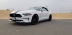 Ford Mustang GT (Белый), 2020 для аренды в Дубай 0
