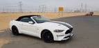 Ford Mustang GT (White), 2020 for rent in Dubai 2