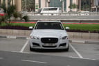 Jaguar XF (Белый), 2019 для аренды в Дубай 1