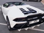 在迪拜 租 Lamborghini Evo (白色), 2020 4