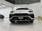 在迪拜 租 Lamborghini Urus (白色), 2019 2