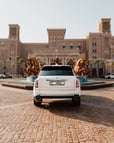 Rolls Royce Cullinan (Blanco), 2022 para alquiler en Dubai 6