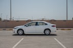 Toyota Corolla (أبيض), 2024 - عروض التأجير في أبو ظبي