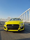 Ford Mustang Eco Boost cabrio (Yellow), 2019 for rent in Dubai 1