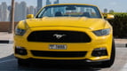Ford Mustang GT convert. (Yellow), 2017 for rent in Dubai 0