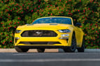 Ford Mustang cabrio (Yellow), 2018 for rent in Dubai 3