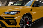 在阿布扎比 租 Lamborghini Urus (黄色), 2020 2