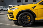 在迪拜 租 Top Specs Lamborghini Urus (黄色), 2020 1
