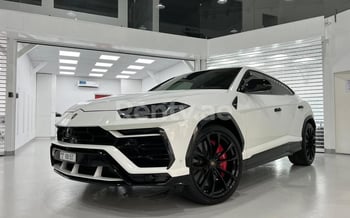 White Lamborghini Urus, 2019 for rent in Dubai
