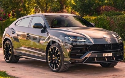 Lamborghini Urus (Grau), 2020  zur Miete in Dubai