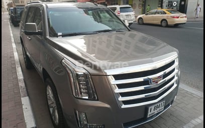 Cadillac Escalade (Braun), 2019  zur Miete in Dubai