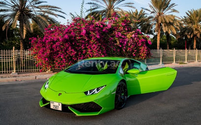在迪拜 租 Lamborghini Huracan (绿色), 2019