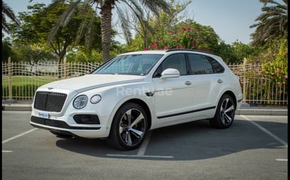 Bentley Bentayga (Blanc), 2019 à louer à Dubai