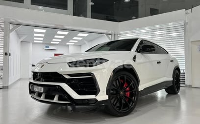 Lamborghini Urus (Белый), 2019 для аренды в Дубай