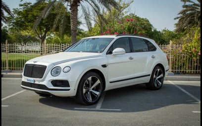 Bentley Bentayga (White), 2019 for rent in Dubai
