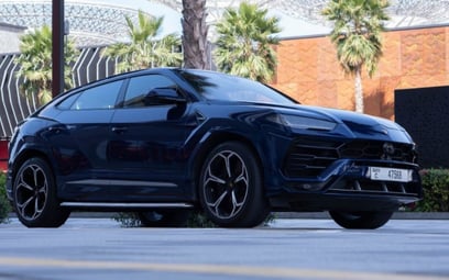 Dark Blue Lamborghini Urus 2019 for rent in Dubai