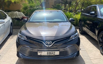 Toyota Camry - 2019 preview