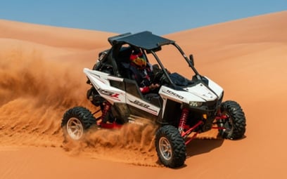 Early Bird – Lone ranger (2 hours tour) - buggy tours in Abu-Dhabi