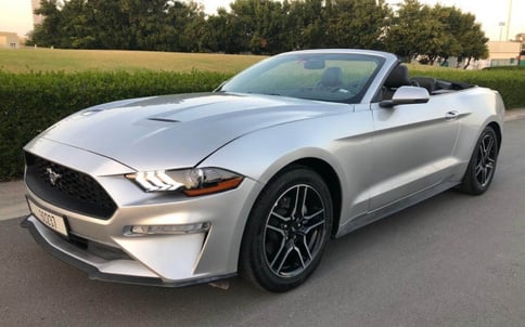 Grey Ford Mustang, 2019 for rent in Dubai