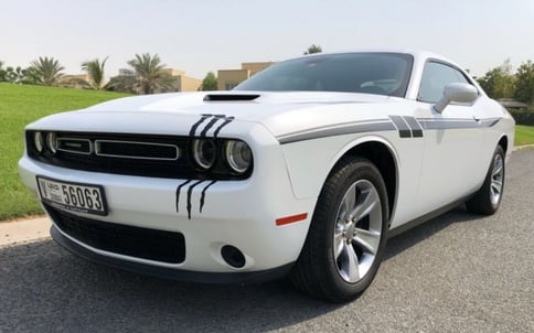 Аренда Белый Dodge Challenger, 2017 в Дубае