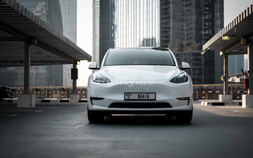 Tesla Model Y Long Range (Bianca)
