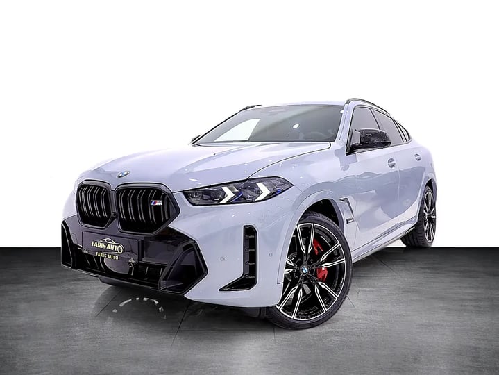 BMW X6 (Grigio)