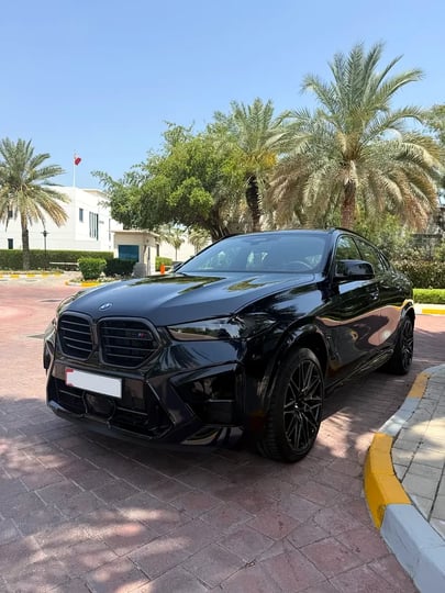 BMW X6 (Black)