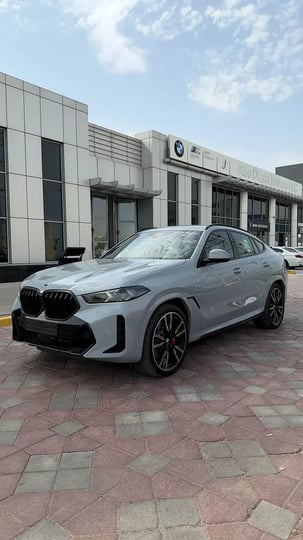BMW X6 (Gri)