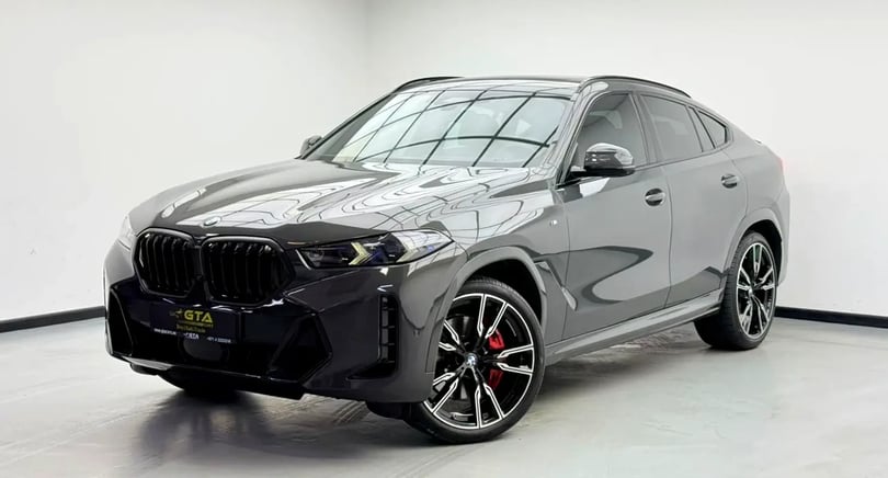 BMW X6 (Grey)