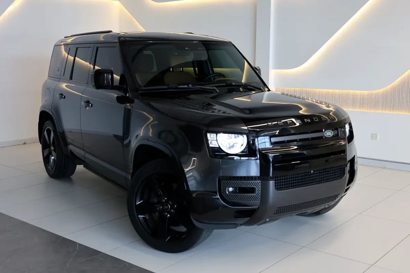 Land Rover Defender (Gris)
